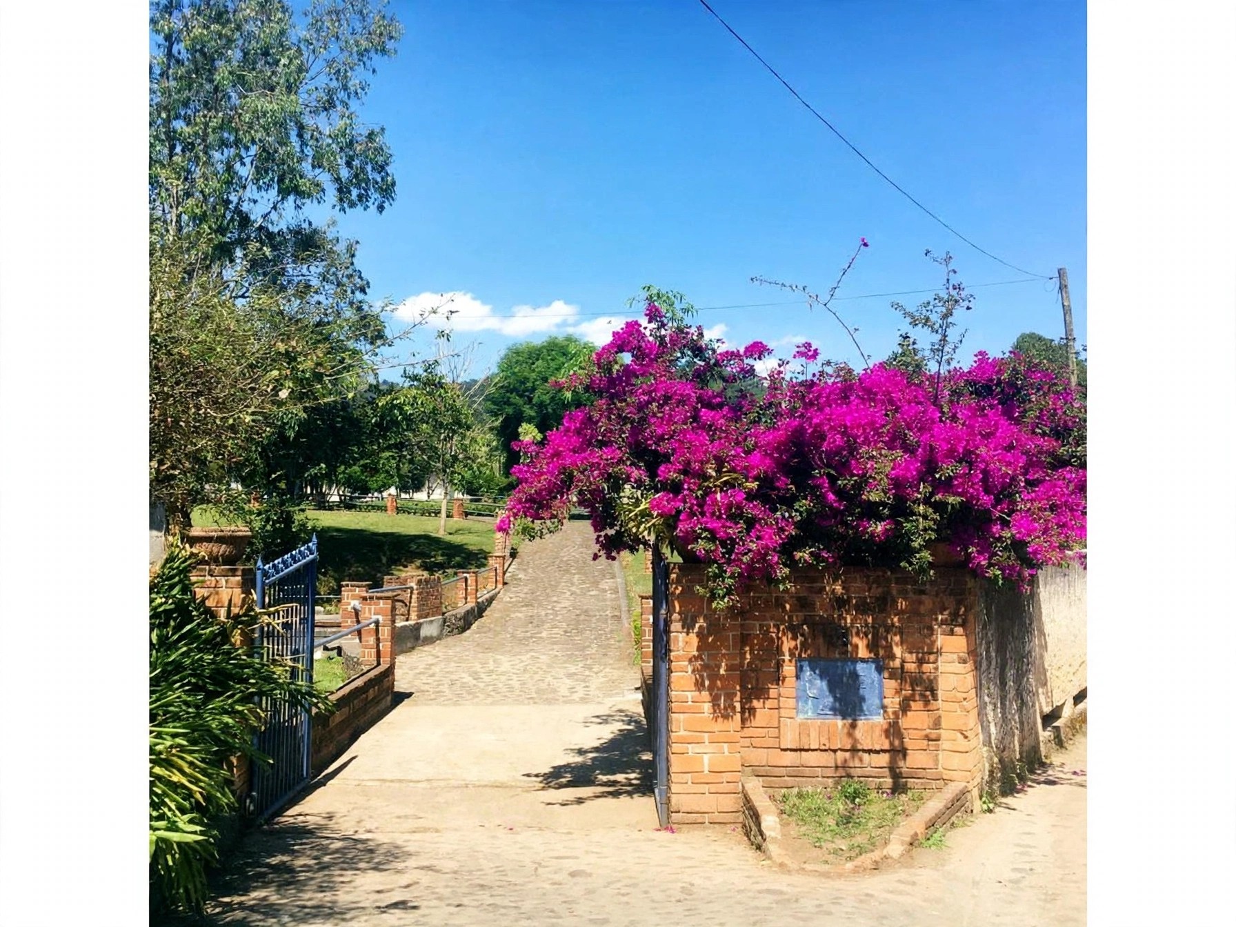 The estate entrance framed by flowering bougainvillea