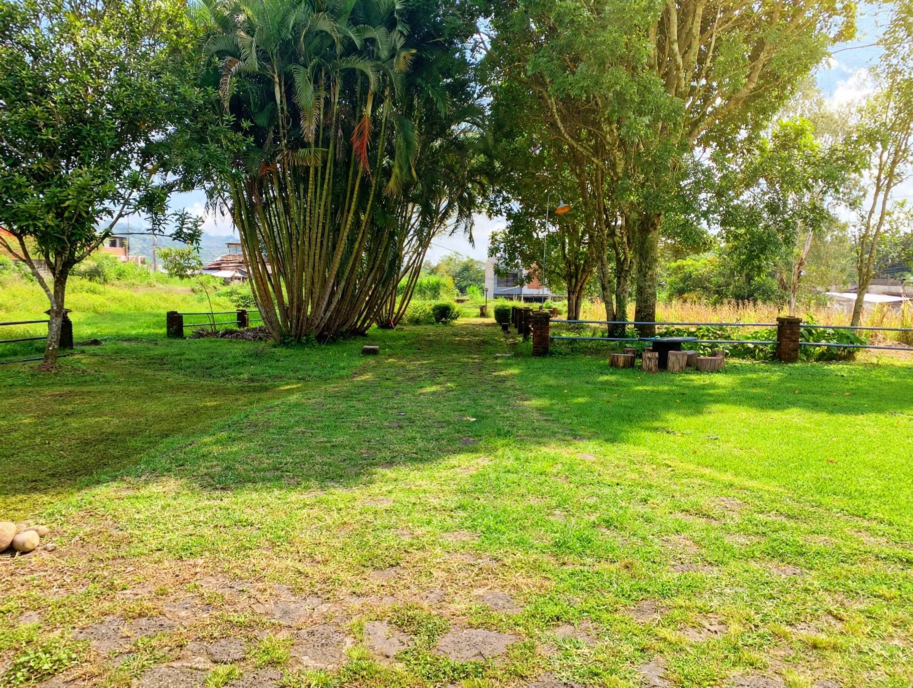 The bamboo grove on the grounds